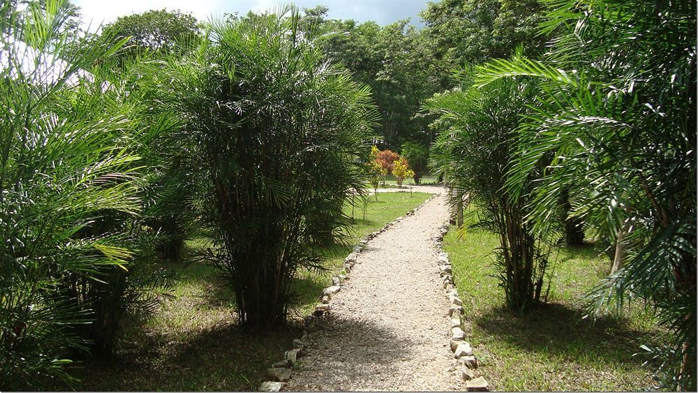 Maya Zac Peten Jungle Lodge El Remate Εξωτερικό φωτογραφία