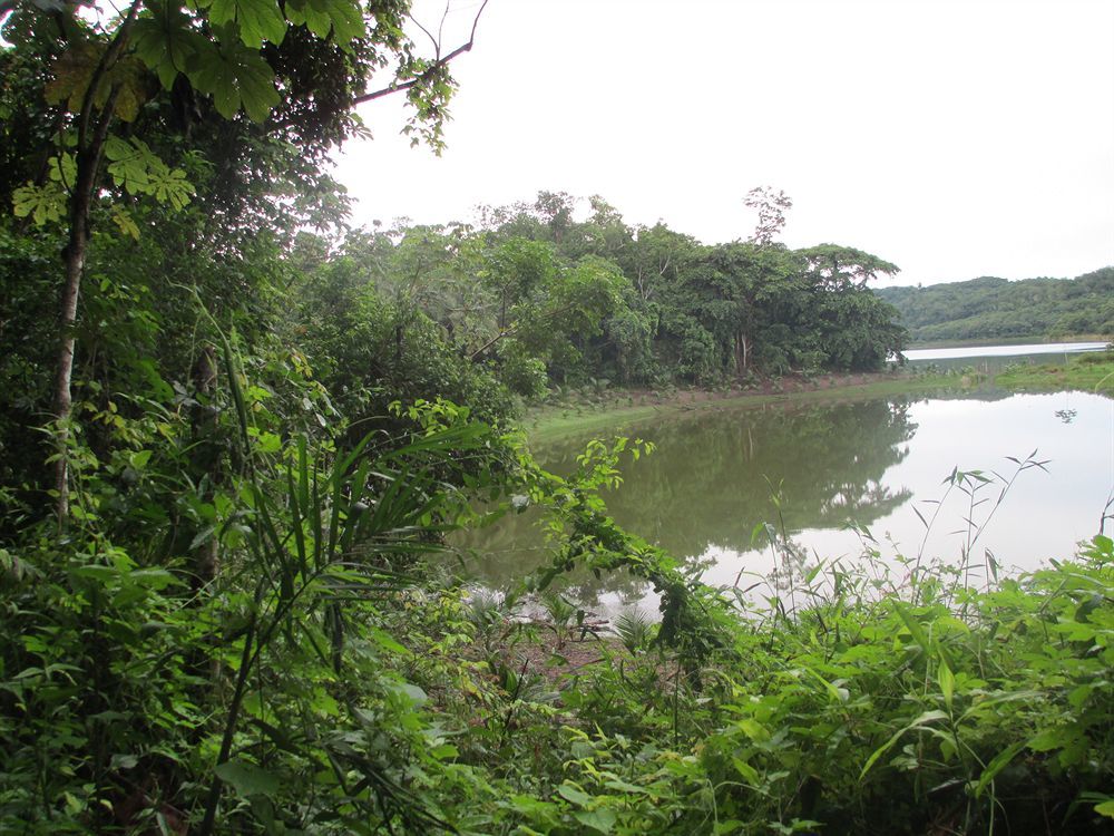 Maya Zac Peten Jungle Lodge El Remate Εξωτερικό φωτογραφία