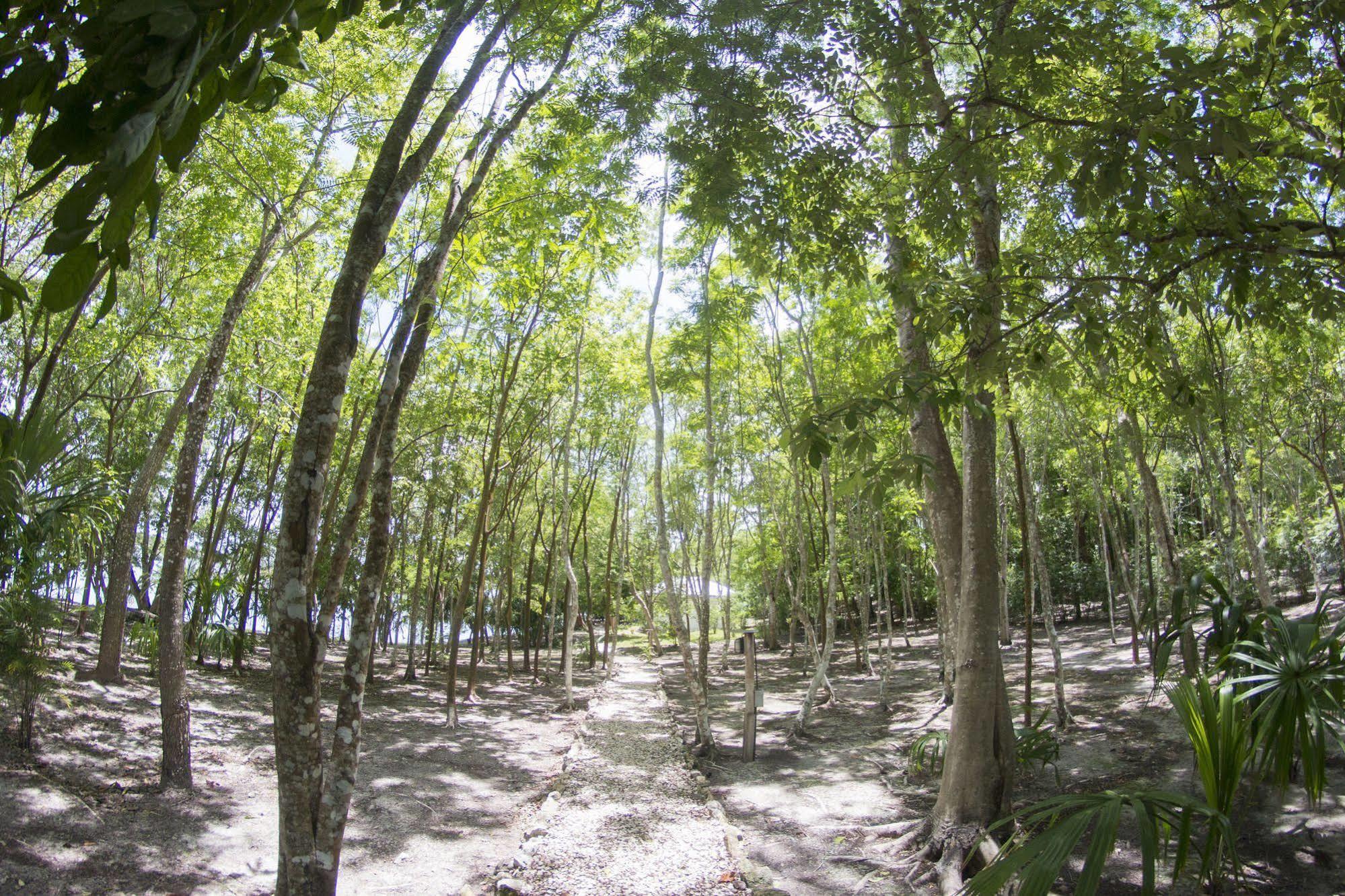 Maya Zac Peten Jungle Lodge El Remate Εξωτερικό φωτογραφία